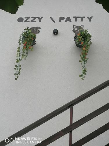 Casa OZZY&PATTY Casa OZZY&PATTY