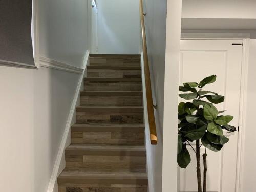 *Cozy, newly renovated, fully equipped*, Hamilton (foto 6)