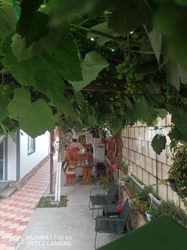 Casa OZZY&PATTY Casa OZZY&PATTY