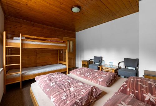 Penzion pod Pralesem - image 10