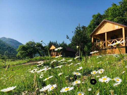 Eco Park Resort in Stepanavan