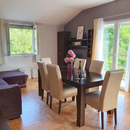 Koplietošanas atpūtas telpa ar TV, Apartman Neva in Lučane