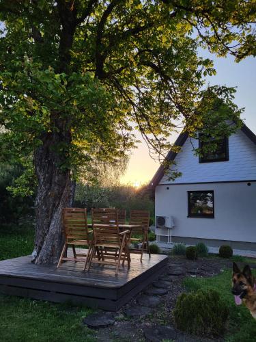 Iekārtas, Kaldeni majutus in Nurme
