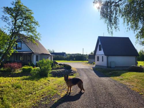 Skats, Kaldeni majutus in Nurme