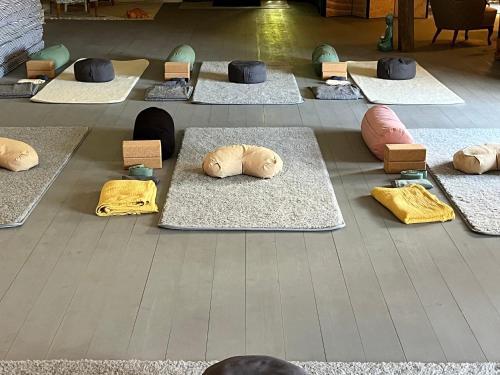 Fitness center, Roda Stugan in Björkenäs