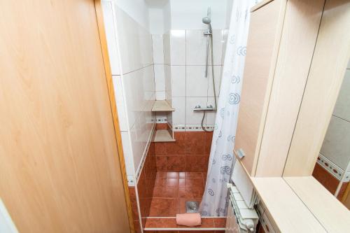 Two-Bedroom Apartment image 4