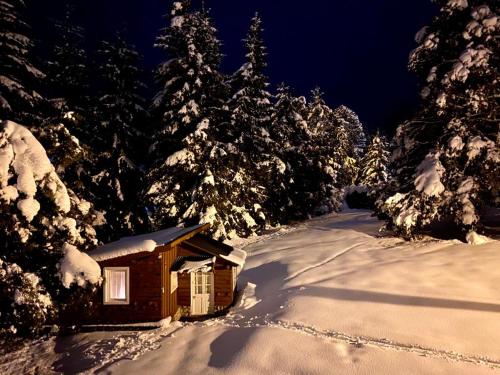 One-Bedroom House