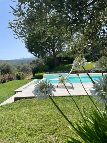  Tenuta di Quaranta in Amaroni