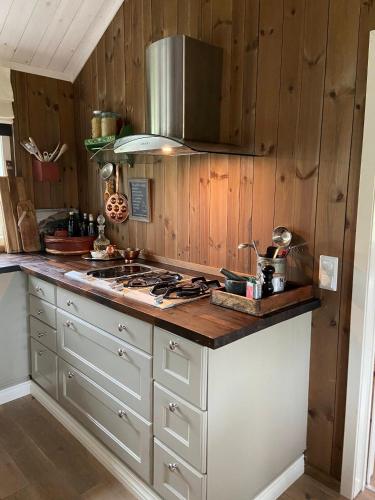 Luxurious, well-Equipped and modern Cabin by the Cross-Country Ski Trails, Eggedal (foto 7)