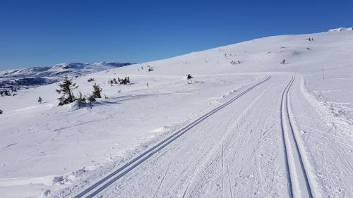 Luxurious, well-Equipped and modern Cabin by the Cross-Country Ski Trails, Eggedal (foto 9)