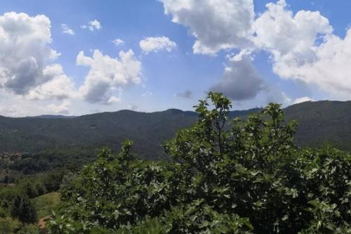 Casa La Rondine. Un panorama sospeso sulla natura