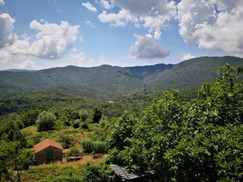 Casa La Rondine. Un panorama sospeso sulla natura