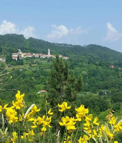 Casa La Rondine. Un panorama sospeso sulla natura