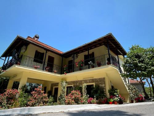 Λευκή Καμέλια, Anilio Pelion (photo 2)