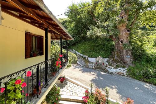Viesnīcas āriene, Λευκή Καμέλια (Λευκη Καμελια) in Anilio Pelion