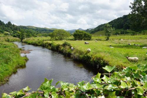 Sally's in 格倫蒂斯