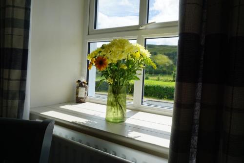 Sally's in 格倫蒂斯