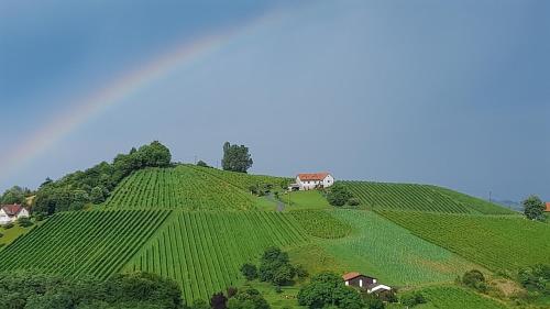 Glanz und Gloria Weingartenapartment an der Kellerstraße, viele Buschenschänke, sehr ruhige Lage, herrliche Aussicht!