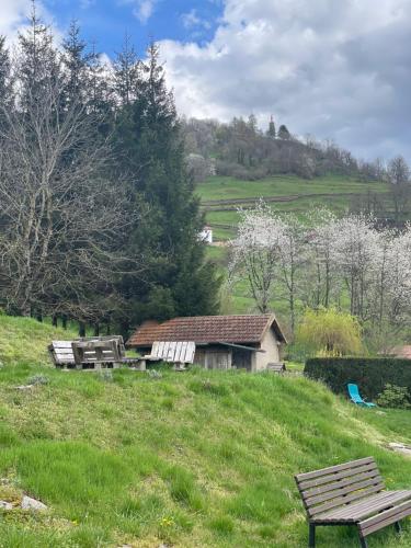 Gîte de la Belette_Montagne de La Bresse