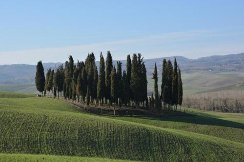 Siena-crete senesi-Val dorcia in Asciano