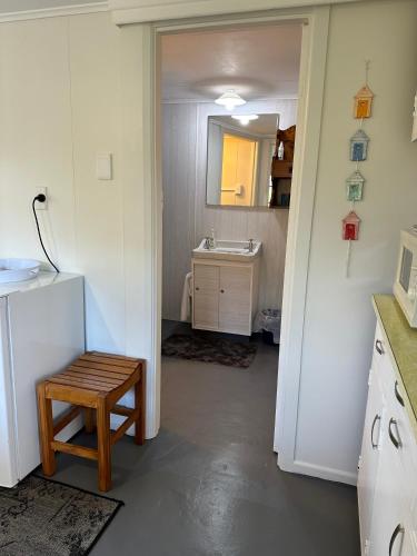 Bathroom, 58 Pioneer - Retro Studio Unit in Moturoa