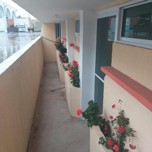 Eva's paradise – Zacatlán, OK