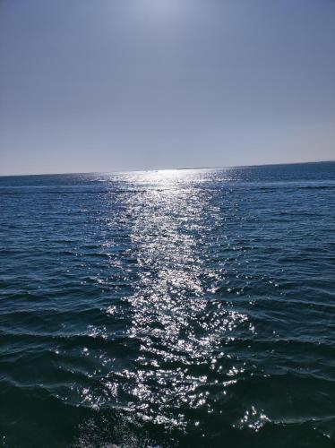 Surrounding environment, Divine Room in Ilha da Culatra