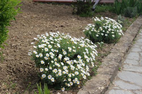  House in Caramagna, 18100 Imperia