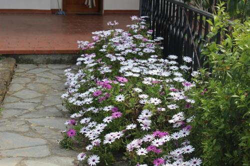 House in Caramagna, Imperia (photo 6)