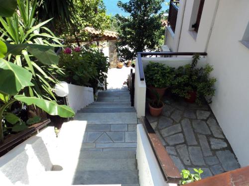 Villa Sunray - image 11