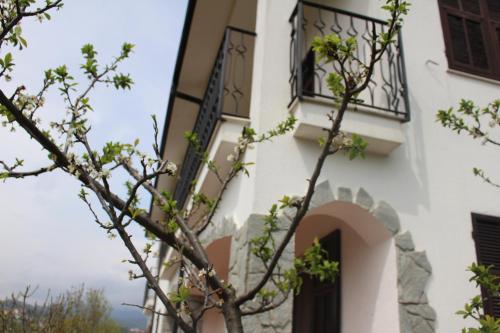 House in Caramagna, Imperia (photo 10)