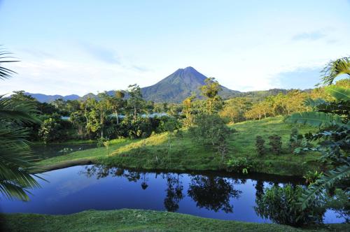 47651579 Arenal Manoa Resort & Hot Springs