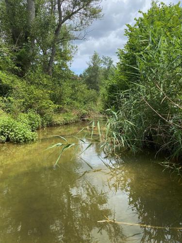 logement avec accès privé à la rivière