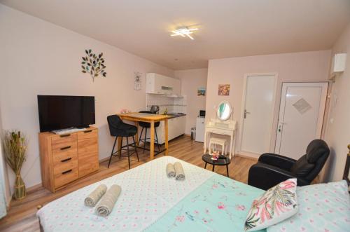 Klaudia Studio, Rovigno (Rovinj) (foto 7)