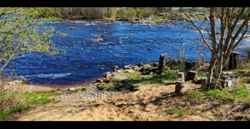 Punatulkku in Kalajoki