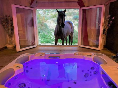 Gite SPA privatif au calme dans les montagnes dromoises gîte à louer Les Tonils