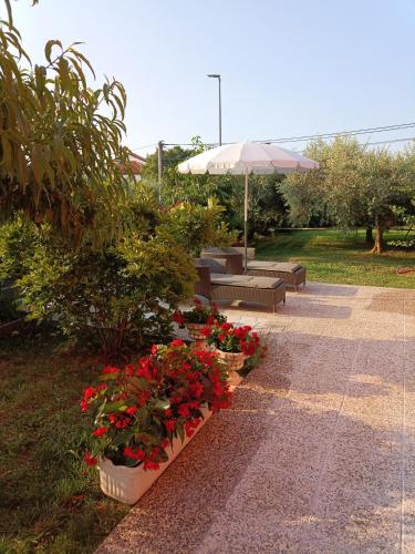  Studio Apartment Dorina in Buje