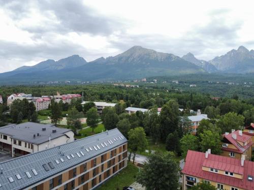 비소크 타트리 TATRYSTAY Luxury Penthouse Apartment PodLesom & Free EVC 4성급 싱글룸 객실