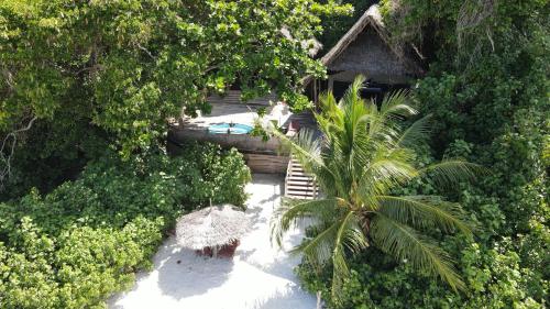 Заобикаляща среда, Fundu Lagoon in Wambaa