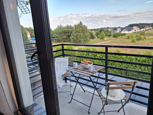 Apkārtne, Apartamenty SAUNA BANIA in Mieroszyno