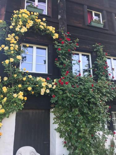 Charming alps apartment perfect for walk/cycle/ski in Eschenbach, Schweiz