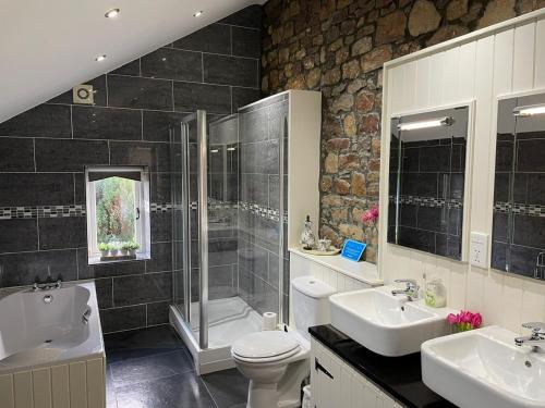 Rhiwddu Barns - image 12