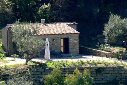 Tiny-House im Olivenhain - 1km zum Strand- Cilentissimo, Castellabate (photo 10)