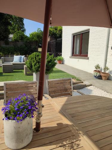 Vakantieverblijf Hof Ter Lucht in Petegem