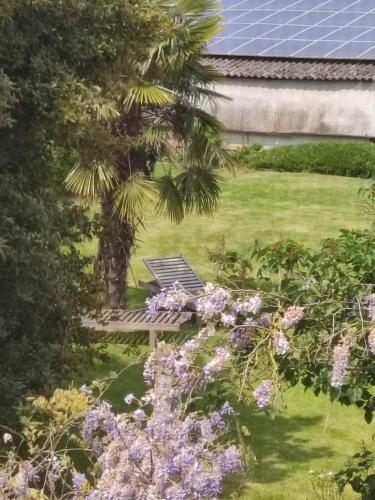 B&B Hof Ter Lucht - image 4