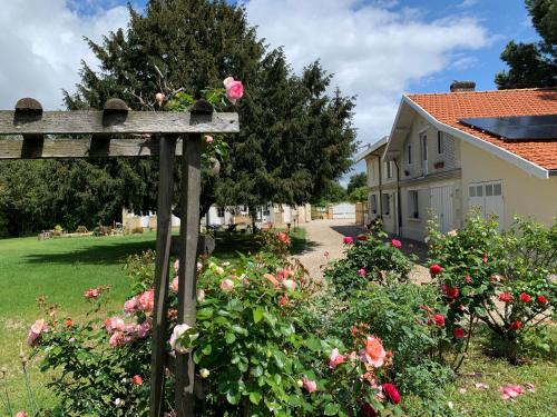 Bâtisse en pierre XVII siècle 115 M² avec terrasse