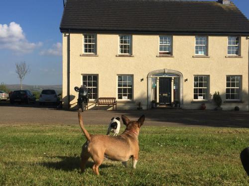 A szálláshely kívülről, The Rocks B&B in Templepatrick