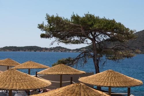 Carian Hotel - image 11