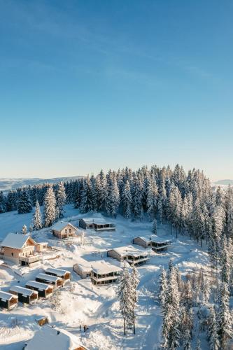 A szálláshely kívülről, Brandlalm Chalets in St. Georgen Im Lavanttal
