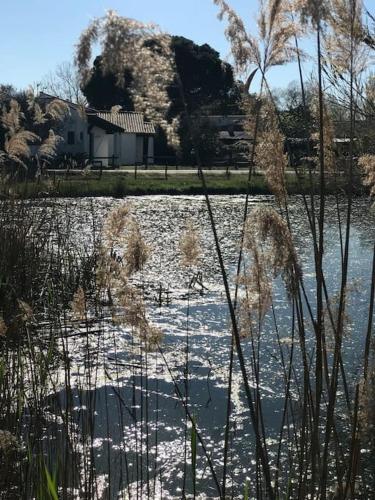 Campagne Camarguaise - Location saisonnière - Saintes-Maries-de-la-Mer